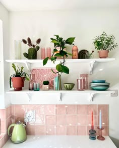 the shelves are filled with plants and dishes