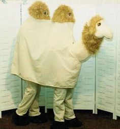 a person dressed as a camel standing in front of a wall