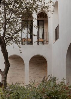 a tree in front of a white building with two balconies