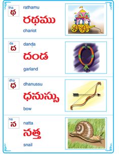 the words in different languages are shown with pictures on them, including an image of a snail