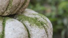 several rocks covered in green moss sitting on top of each other