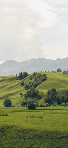 an open field with trees and mountains in the background