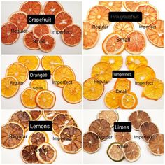 different types of oranges are shown here