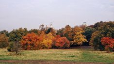 trees with orange and yellow leaves are in the foreground, near a grassy field