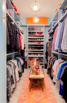 two dogs are sitting on a bench in the middle of a walk - in closet