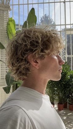 Medium Curly Hairstyles, Curly Hairstyles Short, Wolf Cut Hairstyles, Hair Types Men, Long Curly Hair Men, Wolf Cuts, Surfer Hair