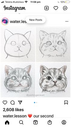 the instagram page on instagram com shows how to draw cats'faces in pencil