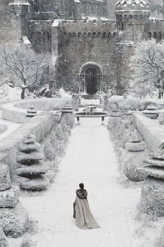 a woman standing in the middle of a snow covered garden