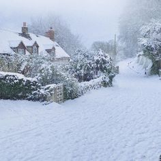 a snow covered road with houses and trees in the background on a snowy day,