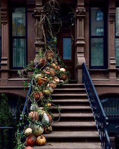 pumpkins and gourds growing on the steps of a brownstone house in new york city