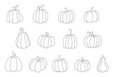 a set of pumpkins drawn in line on a white background, each with different shapes and sizes