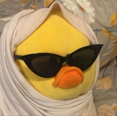 a stuffed duck wearing sunglasses and a scarf