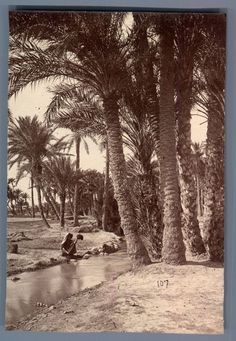 two people are sitting on the bank of a river surrounded by palm trees in an old black and white photo