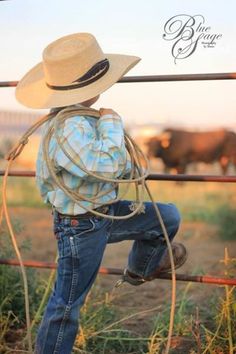 a young boy wearing a cowboy hat and holding on to a fence with cows in the background