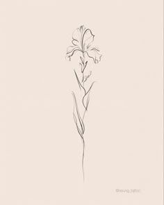 Flower Tattoos Iris, Delicate Iris Tattoo, Subtle Flower Tattoo, Tattoo Of Iris Flower, Iris Tattoo Line Art, Flower Iris Tattoo, Iris Minimalist Tattoo, Minimalist Iris Flower Tattoo, Tiny Iris Tattoo