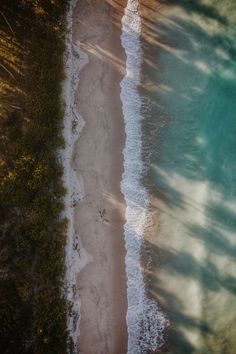 an aerial view of the beach and water from above, with trees in the foreground