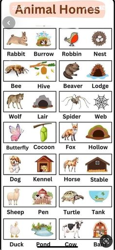 an animal worksheet with animals and their names