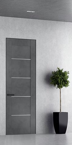 an empty room with a potted plant next to the door and a gray wall