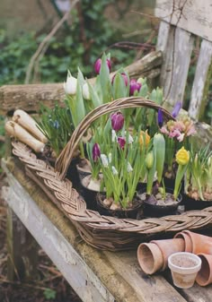 a basket filled with flowers sitting on top of a wooden table next to some plants