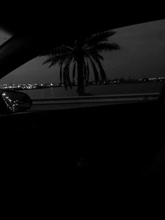 black and white photograph of palm tree in the dark with city lights visible behind it