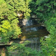 a river running through a lush green forest filled with lots of trees and water cascading