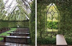 Man Spends Four Years Growing a Serene Church Made of Trees - My Modern Met Outdoor Worship, Prayer Garden, Outdoor Stage, Modern Metropolis, Church Building, Venue Decor, Tree Farm, Tree Wedding