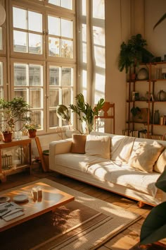 a living room filled with lots of windows next to a white couch and coffee table