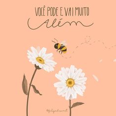 a pink background with white daisies and a bee flying over the top of them