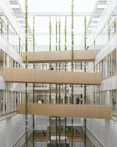 the inside of an office building with plants hanging from the ceiling and people sitting at their desks