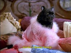 a black and white cat sitting on top of a pile of pink fluffy material with the caption just be a queen, honey