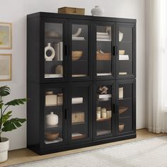 a black bookcase with glass doors in a living room next to a potted plant