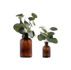 two brown vases with plants in them on a white background and one has green leaves