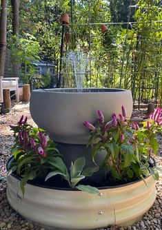 a water fountain surrounded by plants and rocks