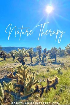 the words nature therapy in front of some cacti and other plants on a sunny day