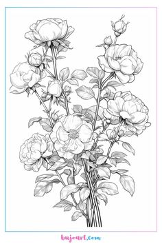 a black and white drawing of some flowers