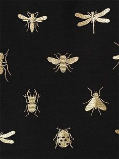 many different types of bugs on black fabric