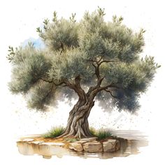 an olive tree in the middle of a small island with rocks and grass around it