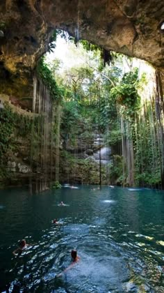 a man swimming in a pool surrounded by lush green trees and hanging rock formations above