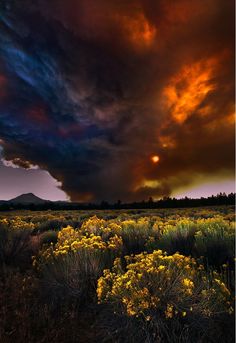 the sky is filled with colorful clouds and yellow flowers in front of a mountain range