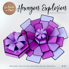 two purple boxes with bows on them and the words hexagon explosion written below