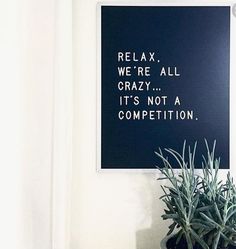 a potted plant sitting in front of a sign that says relax we're all crazy it's not a competition