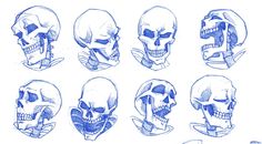 six different types of skulls drawn in blue ink