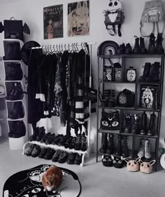 a cat is sitting on the floor in front of a closet full of shoes and handbags