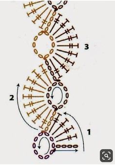 a diagram showing the structure of an animal's body and how it looks like