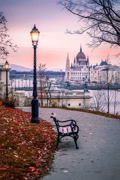 a park bench sitting on top of a sidewalk next to a lamp post and trees