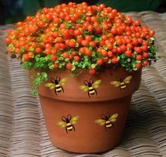 a potted plant with small orange flowers on it's top and green leaves