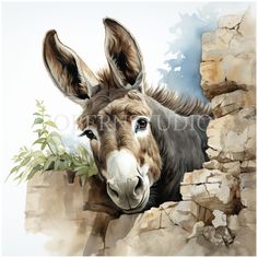 Donkey Rock Painting, Donkey Sketch, Watercolor Donkey, Donkey Clipart, Donkey Images, Donkey Drawing, Donkey Art, Download Stickers, Unique Clipart