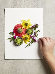 a person is holding a piece of paper with flowers on it and pointing at the flower