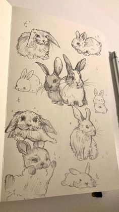 an open book with drawings of rabbits and other animals on it's cover, next to a pen