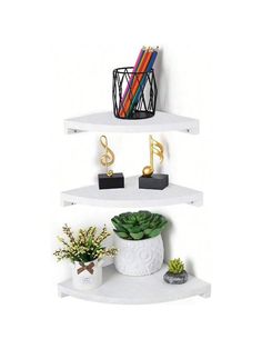 three white shelves with plants and books on them